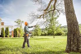 Laurel, MT Tree Removal and Landscaping Services Company